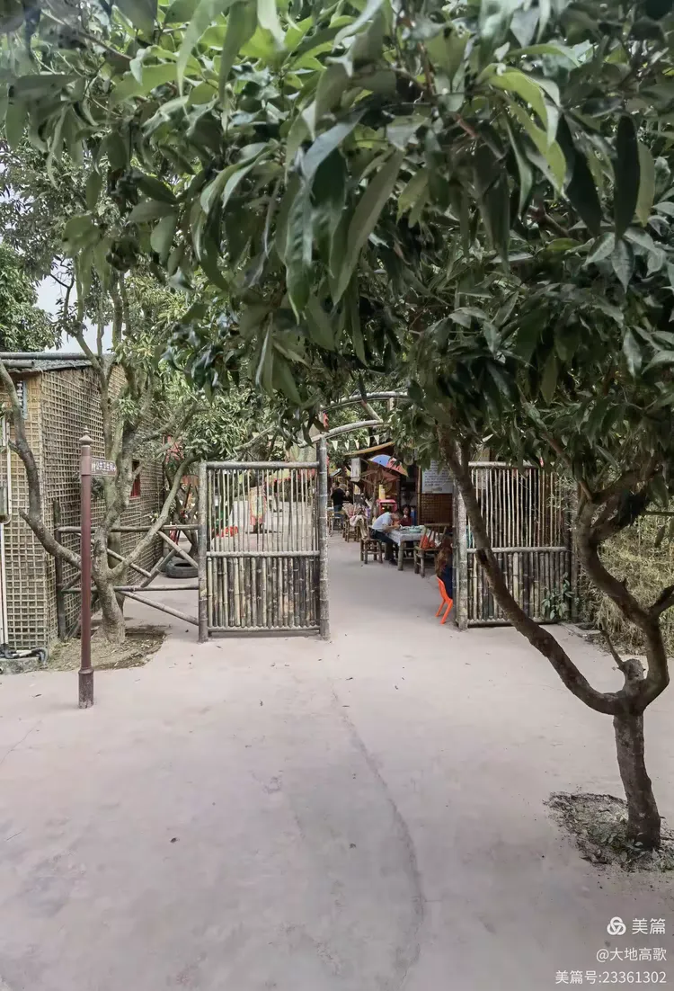 沙溪黄河宝树园203.12.10